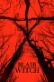 Lk21 Blair Witch (2016) Film Subtitle Indonesia Streaming / Download